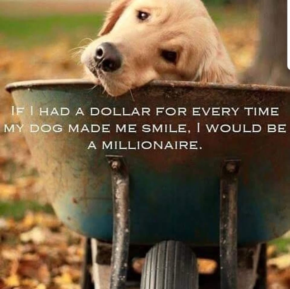 Women’s Premium Hoodie | Salty Surf & Co.